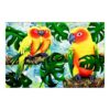 Parrots
