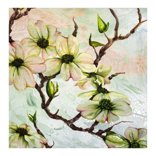 Dogwood