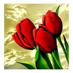 Red Tulips