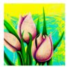 Three Pink Tulips
