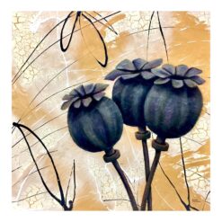 Three Poppy Heads
