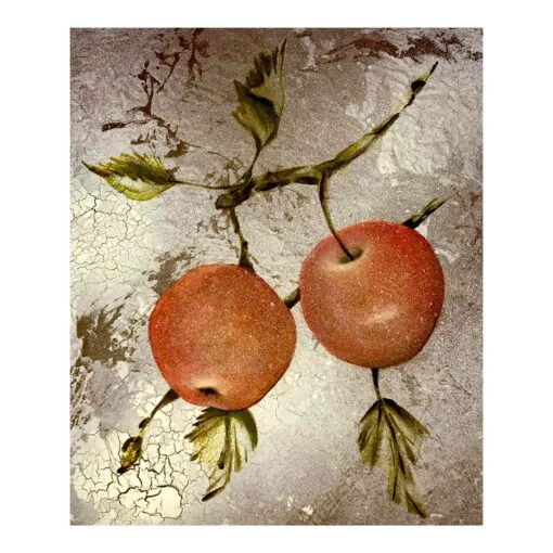 Two Rosy Apples