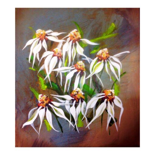 White Daisies