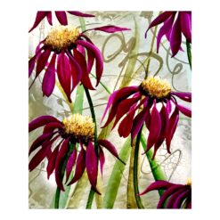 Magenta Echinacea