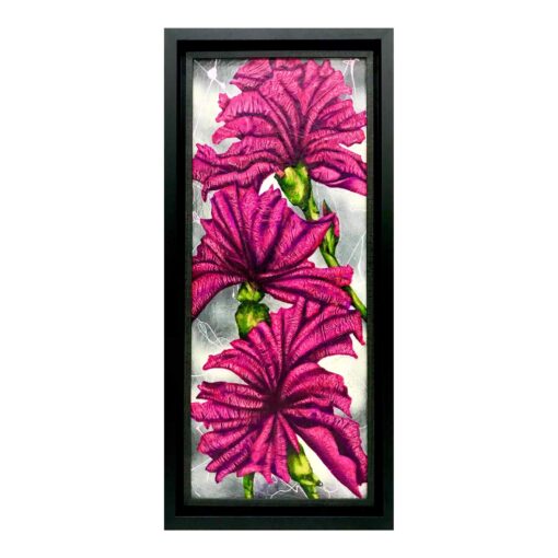 Magenta Irises