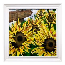 Sunflowers In Pillac