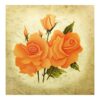 Peach Roses