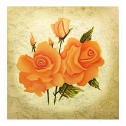 Peach Roses