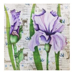 Iris & L'amour Tif
