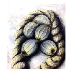 Poppy Seeds And Rope