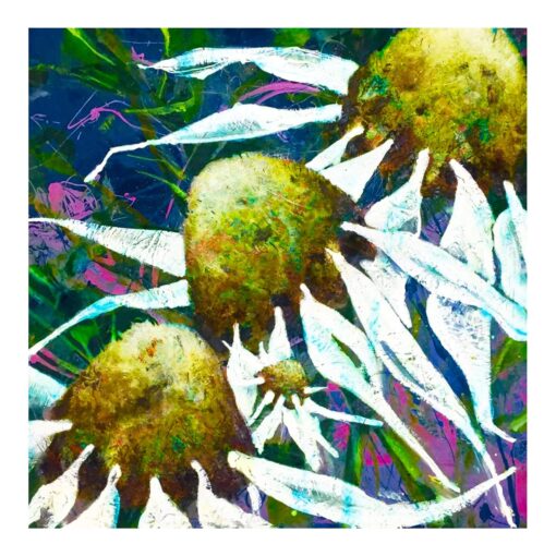 Daisies