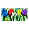 Five Colourful Tulips