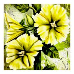 Yellow Hollyhocks