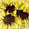 Three Sunflowers